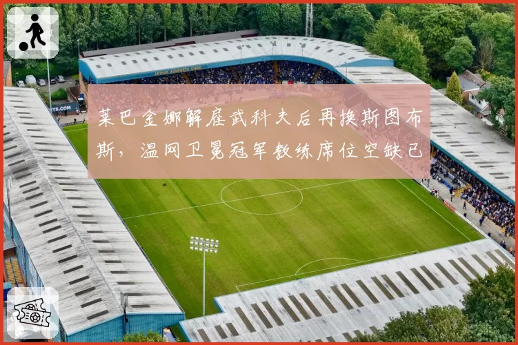 莱巴金娜解雇武科夫后再换斯图布斯,温网卫冕冠军教练席位空缺已超六周